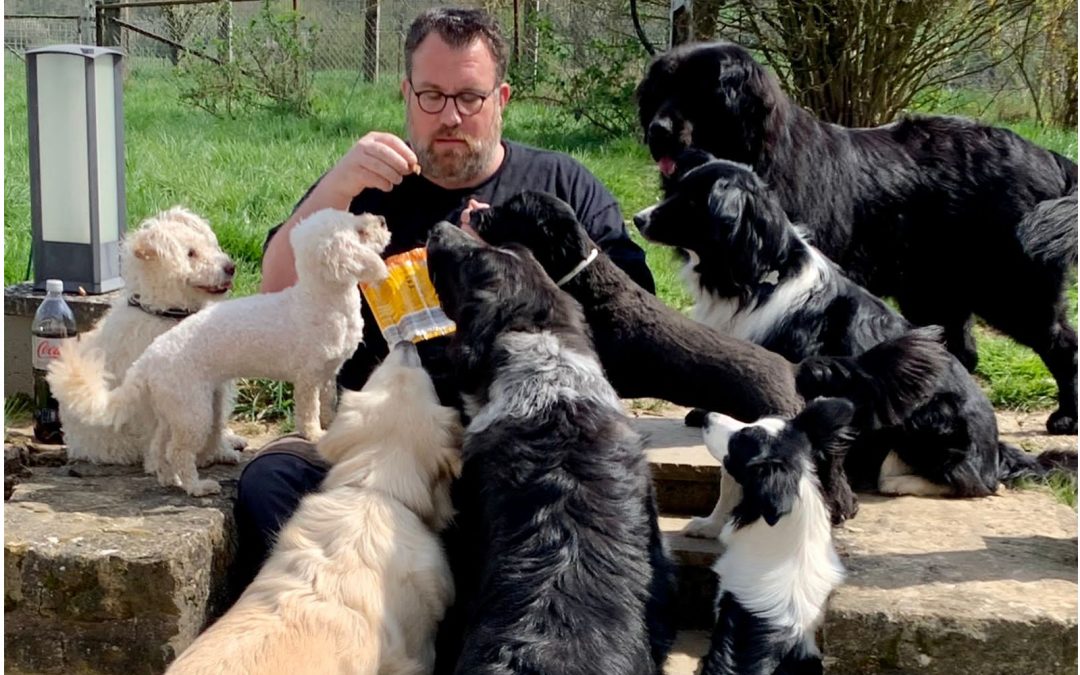 Vom Hundehasser zum Hundeliebhaber